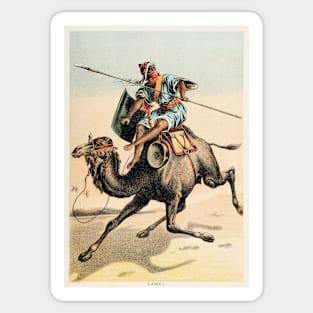 Camel chromolithograph Sticker